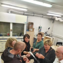 Liberecka zdravka Norove  4 13